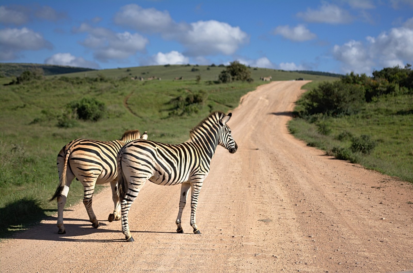 zuid-afrika