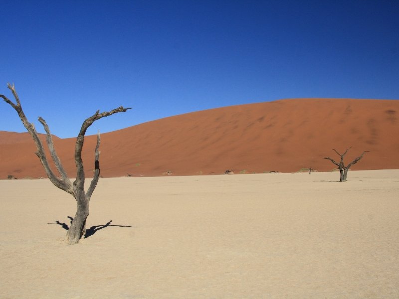 Must see in Namibië is de beroemde deadvlei met de kleigrond en de donkere dode bomen