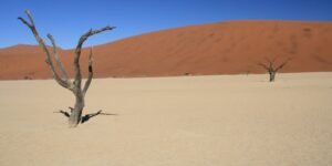 Namibië rondreis tips, beste reisroute en mooiste bezienswaardigheden
