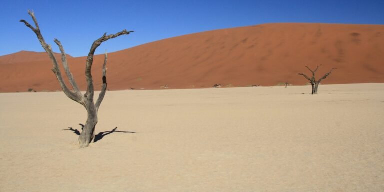 Namibië rondreis tips, beste reisroute en mooiste bezienswaardigheden